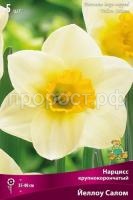 narciss_krupnokoron_yellow_salome_kaper (1)