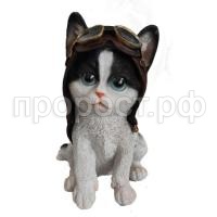 котенок авиатор