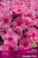 Флокс метельчатый Джеффс Пинк
