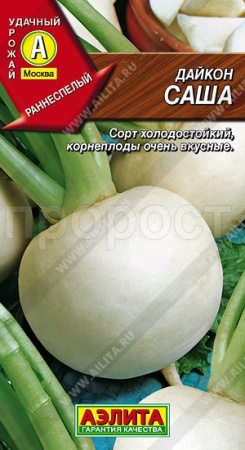 Аэлита Дайкон Саша 1г