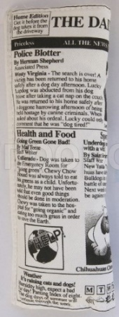 Игрушка с Аппорт Газета с шуршалкой 25см/С2304/ЗР