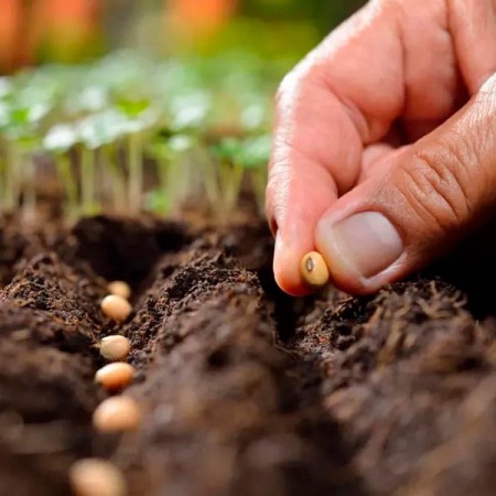 Грунт Сад Чудес 25л Универсальный