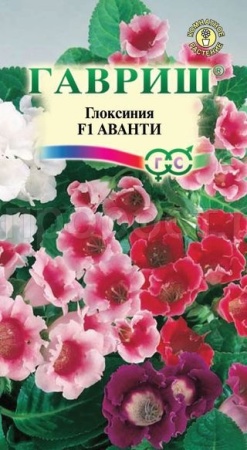 Глоксиния Аванти F1 4шт 