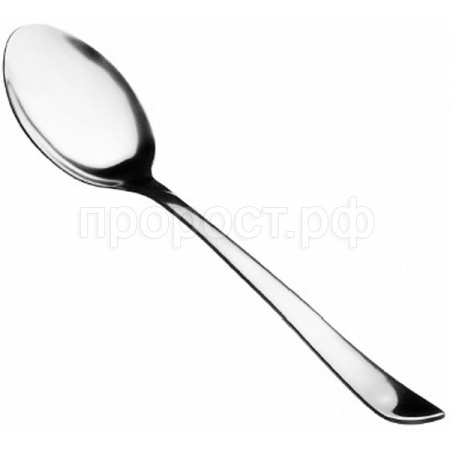 Ложка столовая (6шт) нерж. 0,2мм КТ-098-ЛС-6 Ложка столовая (6шт) нерж. 0,2мм КТ-098-ЛС-6
