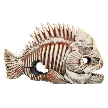 Грот Deksi Скелет рыбы 903 33*14*22/250833 Грот Deksi Скелет рыбы 903 33*14*22/250833