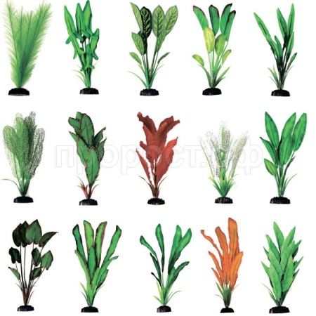 Шелковое растение 50см  MIX Plant 071 Шелковое растение 50см  MIX Plant 071