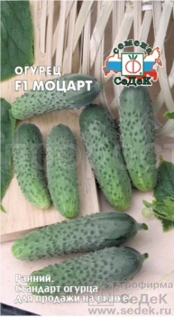 Седек Огурец Моцарт F1 8шт