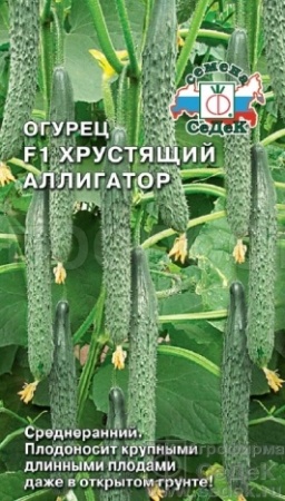 Седек Огурец Хрустящий Аллигатор F1 0,2г