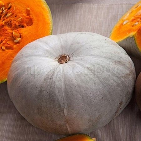 Сембат XXXL Тыква крупноплодная Крошка 10г