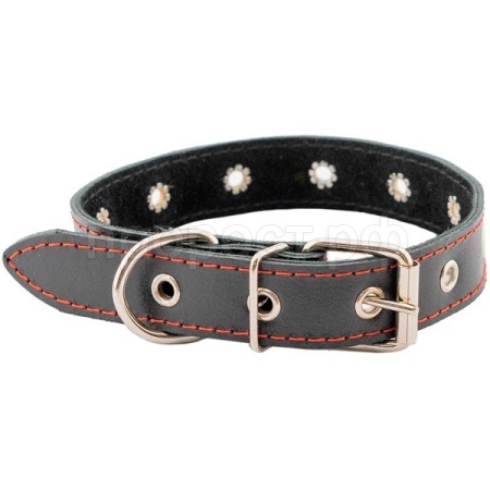 Ошейник кожа 35мм ЧИП натуральная  кожа простроченный до 60см черный/51035черн/Дарэлл
