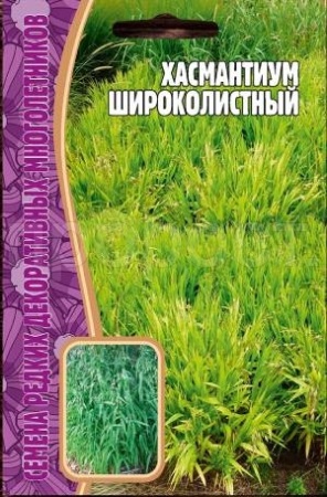 Хасмантиум Широколистный 25 шт