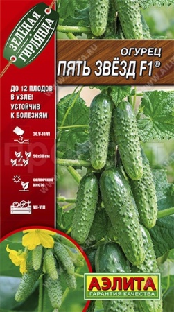 Аэлита Огурец Пять звезд F1 10шт