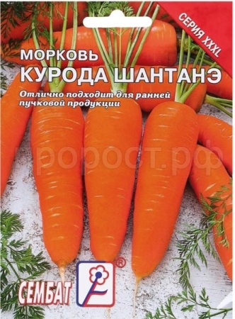 Сембат Морковь Курода Шантанэ 10г XXXL