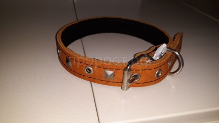 Ошейник кожа 25мм c украшением на фетре 38-40см/40755/Бим