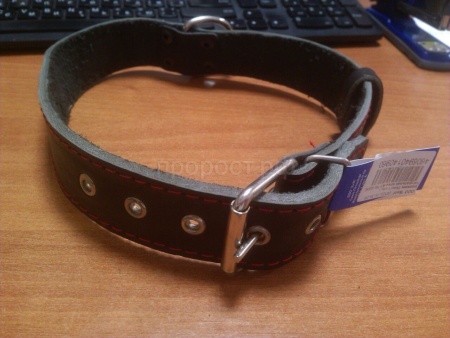 Ошейник кожа 35мм 1слойный Н/У 63-65см/40960/ Бим