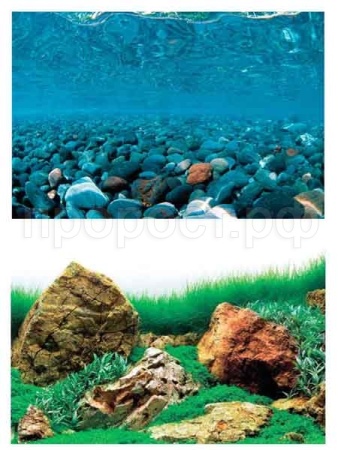 Фон для аквариума Горная река/Зеленое море 30*62см/BACKGROUND 019 Фон для аквариума Горная река/Зеленое море 30*62см/BACKGROUND 019