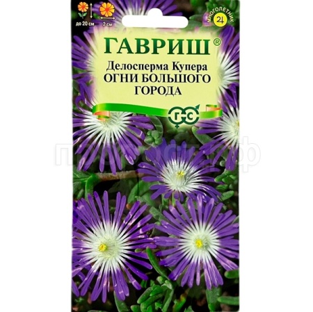 Делосперма обильноцветущая Огни большого города 7шт