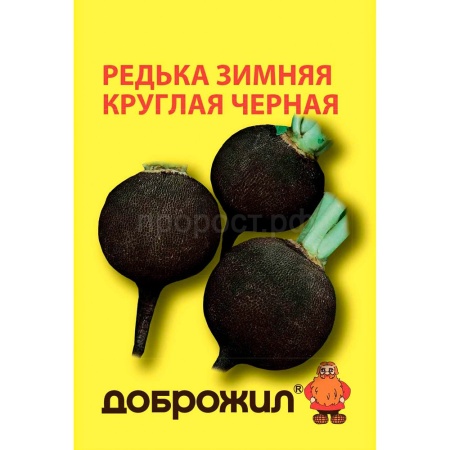 ДОБРОЖИЛ Редька Зимняя круглая черная 3г