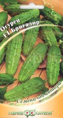 Гавриш Огурец Бригадир F1 10шт