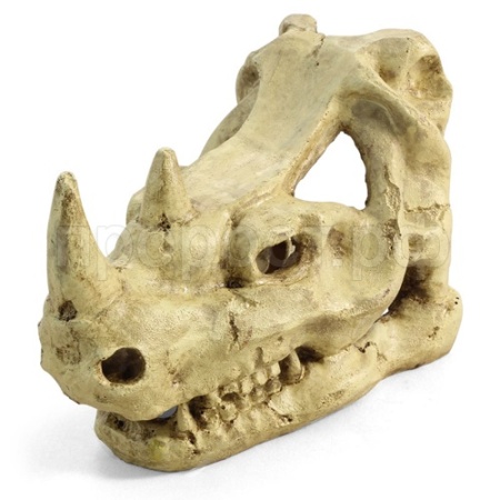 Грот Череп носорога 180*105*120мм 2802LD  Грот Череп носорога 180*105*120мм 2802LD