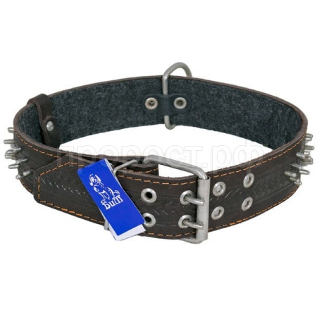 Ошейник кожа 45мм с украшением и шипами на ферте 65-70см/41141/Бим