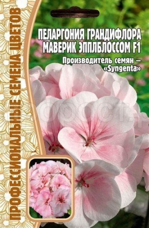 Пеларгония грандифлора Маверик Эпплблоссом F1 3шт