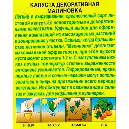 Аэлита Капуста декоративная Малиновка 0,3г 