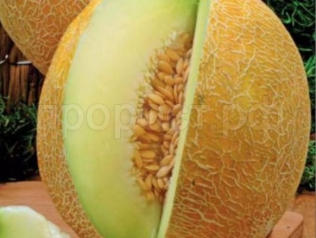 Гавриш Фермерская Дыня Южанка 25 гр