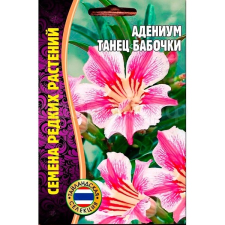 Адениум Танец бабочки 3шт 