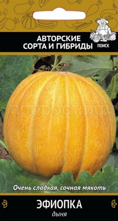 Поиск Дыня Эфиопка 15шт