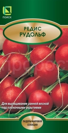 Редис Рудольф 2г  Редис Рудольф 2г