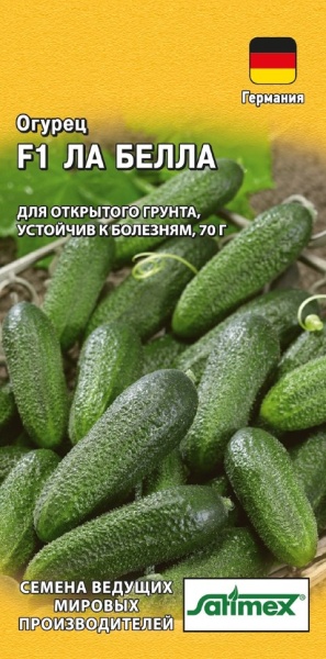 Огурец Антисипатор F1 5шт Огурец Антисипатор F1 5шт