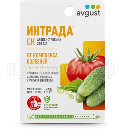 Интрада 10мл Август  Интрада 10мл Август