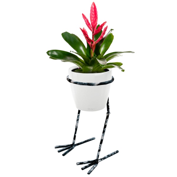 Подставка ЛОФТ ЦЫПА 1 горшок 2-В бронза РЗДИ