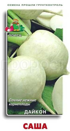 Поиск Дайкон Саша 1гр 