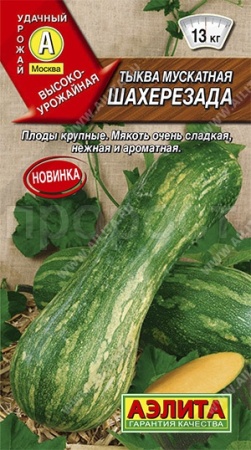 Аэлита Тыква мускатная Шахерезада 1г